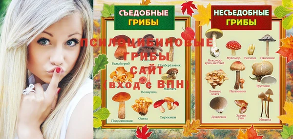 молекула духа Алзамай