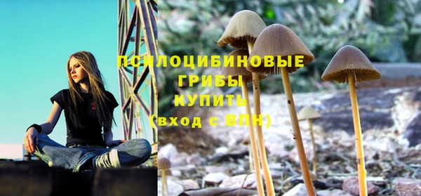 спайс Алексеевка