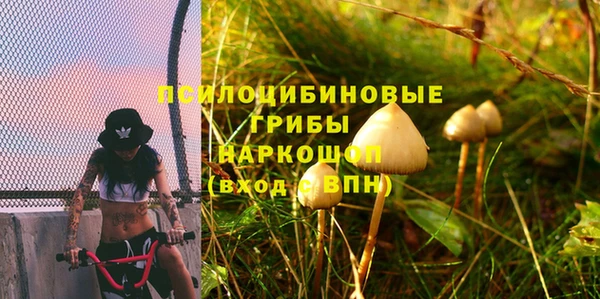 спайс Алексеевка