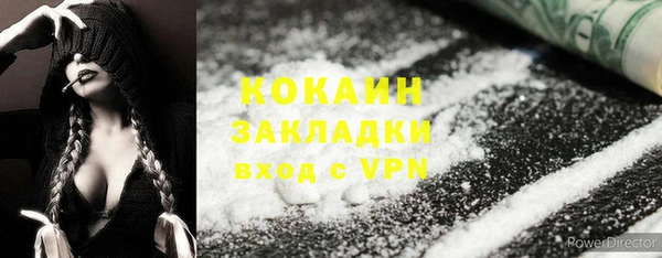 молекула духа Алзамай